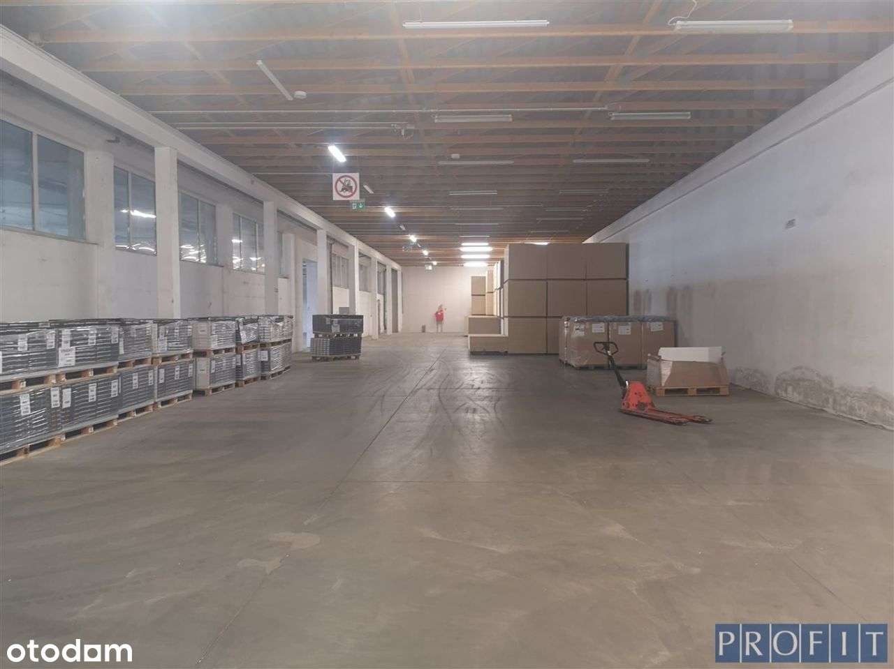 Magazyn 880m2 h-5,2m wjazd z poziomu 0 - Pełny obrazek: 5/5