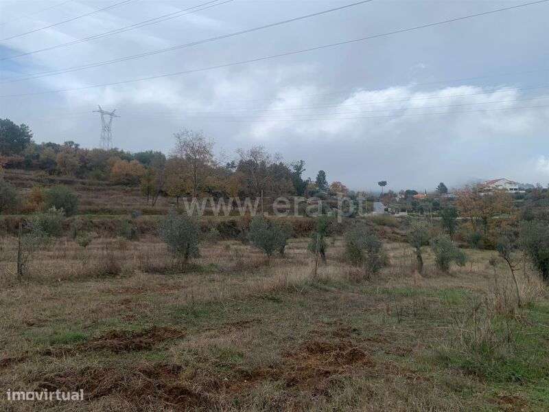 Quintinha / Fundão, Pêro Viseu - Grande imagem: 5/12