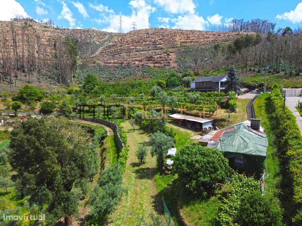 Quinta agrícola - 45 minutos do Porto-6
