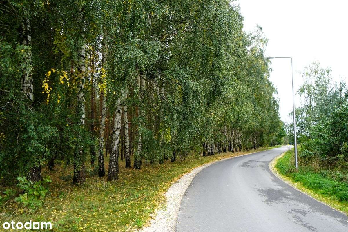 Działka z wejściem do Kampinowskiego parku Narodow - Pełny obrazek: 4/9