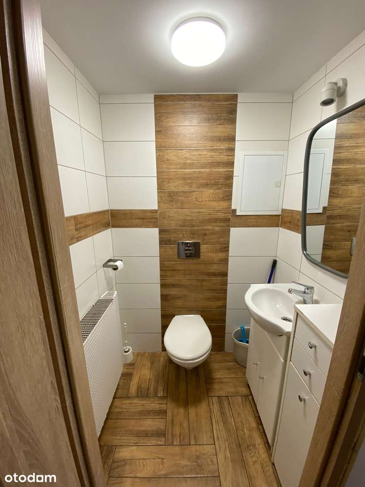 Kawalerka do wynajęcia - Pełny obrazek: 5/13