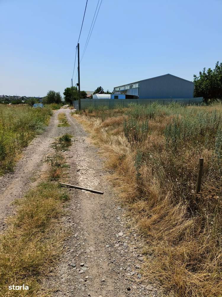 Vand 566mp intravilan Filesti -27euro/mp - Imagine principală: 1/3