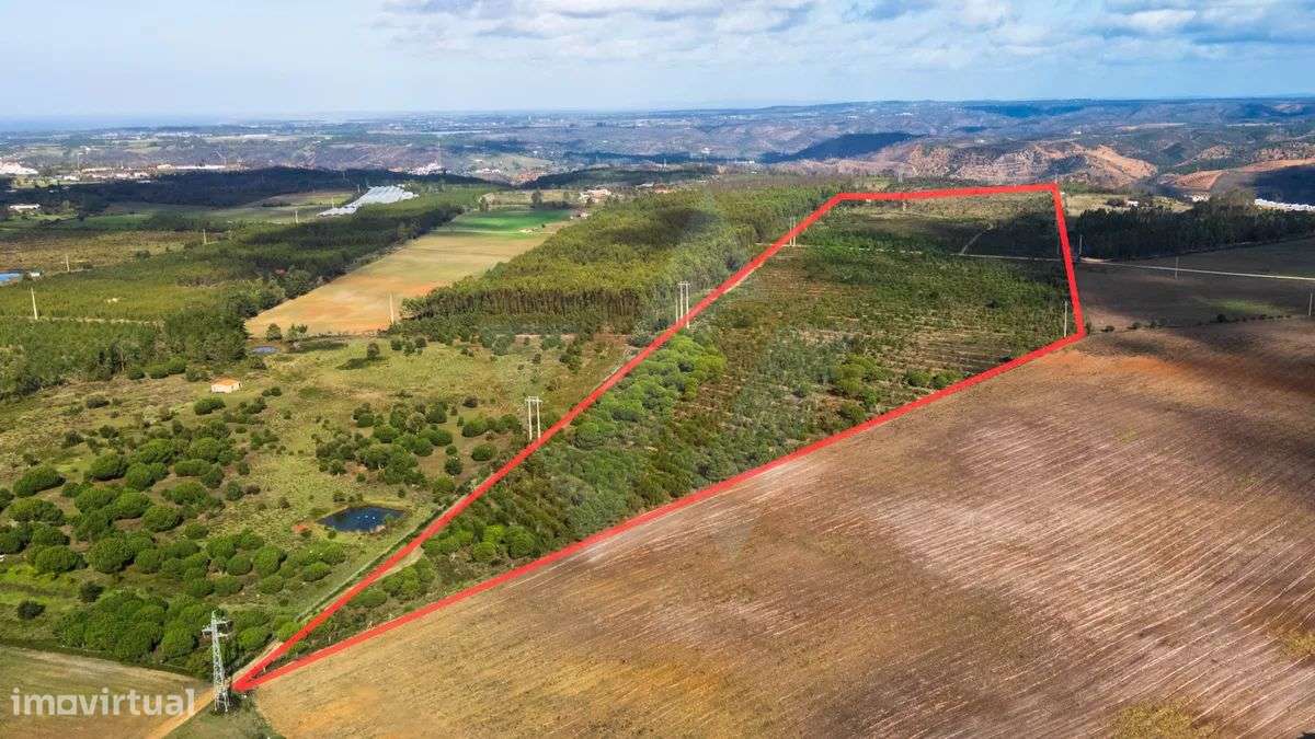 Herdade Agrícola com potencial turístico-6