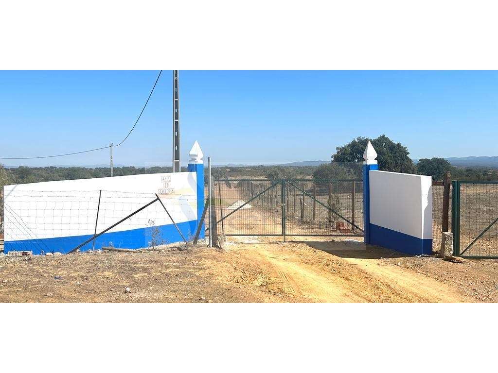 Monte Tipicamente Alentejano - 13 hectares - Baixo Alentejo (Vila V... - Grande imagem: 5/17