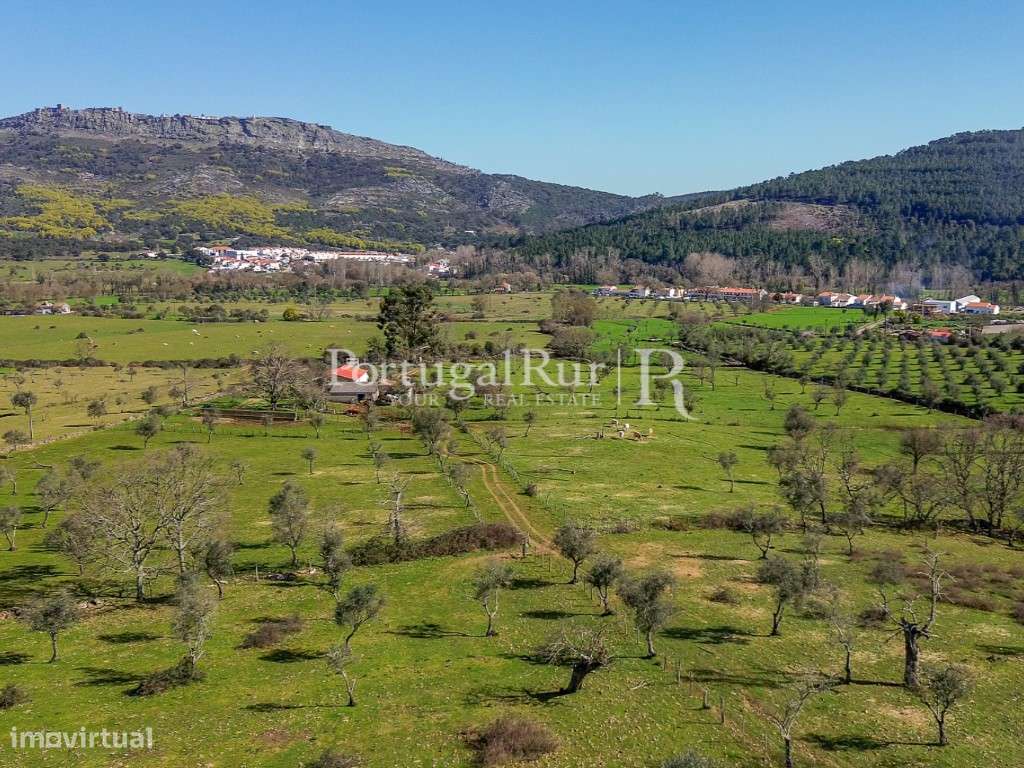 Quinta de 9 hectares em Marvão - Grande imagem: 4/60