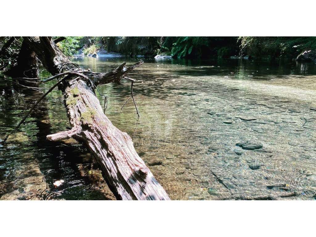 Moradia Individual T3 para venda em Amarante-16