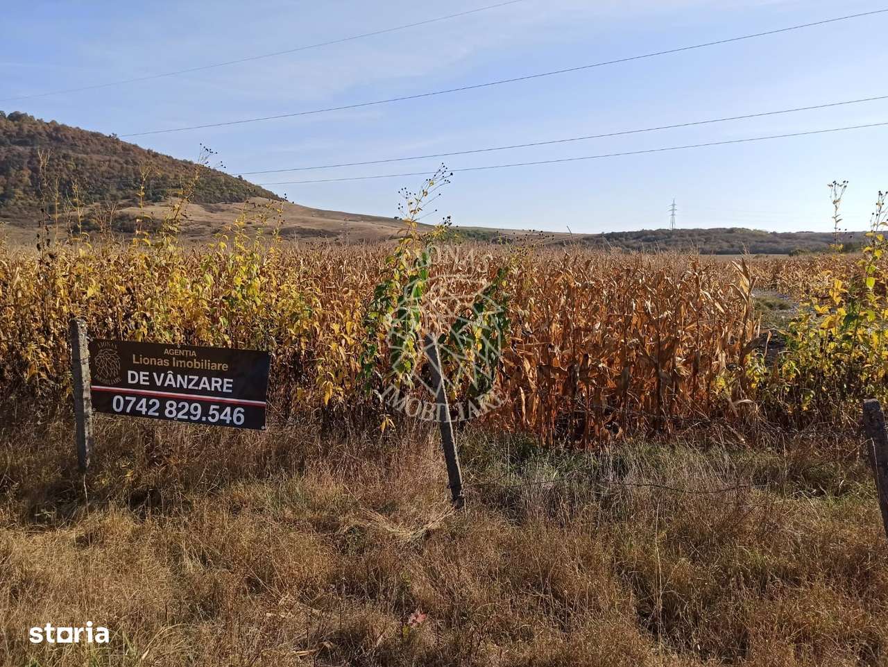 Teren 4606 mp-ideal investitie-Sarata - Imagine principală: 2/5