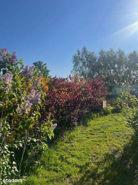 Roczny dom otoczony naturą (prywatny staw)- Gościno k. Kołobrzegu-18