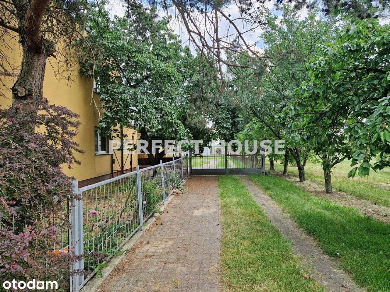 Gospodarstwo pod Stęszewem, 1,1ha, dom 137 mkw - Pełny obrazek: 5/20