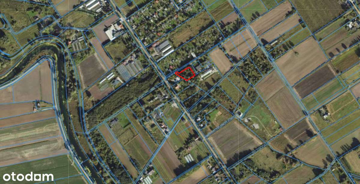 Działka w Gdańsk- Olszynka 2013m2 - Pełny obrazek: 2/9