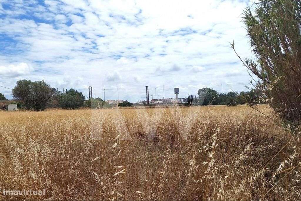 Terreno Corte das Cheiras com cerca de 28.000 m2 | Estrada real, Monti - Grande imagem: 5/17