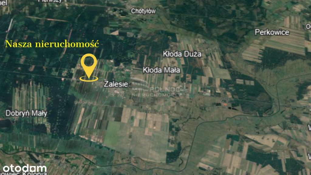 Działka rolna 1,15 Ha w Lachówce Dużej przy DK2 - Pełny obrazek: 4/7