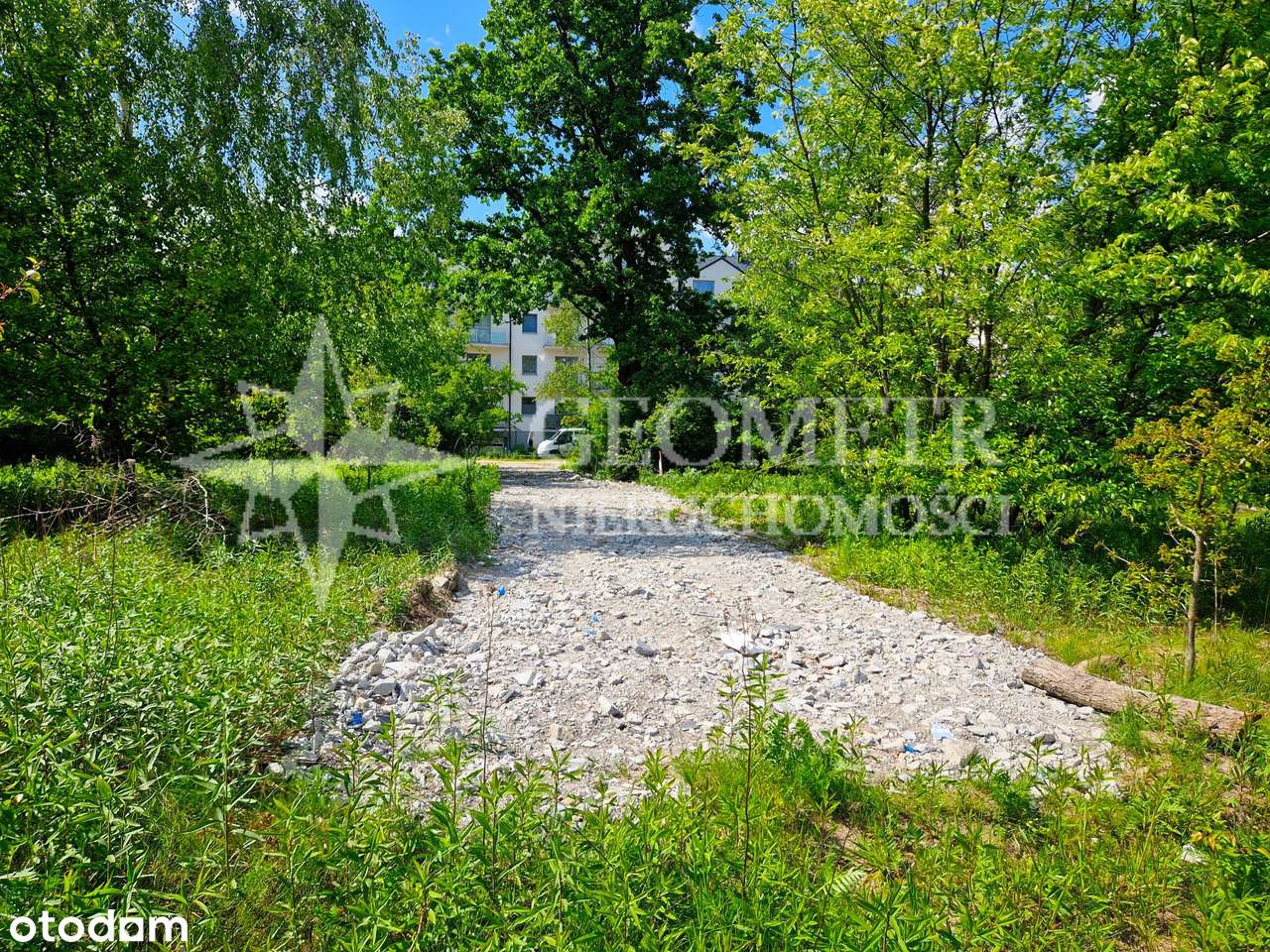 na granicy z Warszawą, pod lasem-8