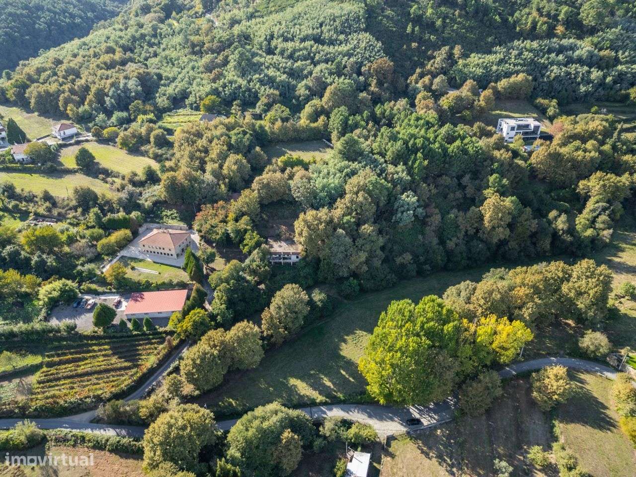 Moradia para restauro em quinta com 1.35Ha - Borbelinha, Adoufe-3