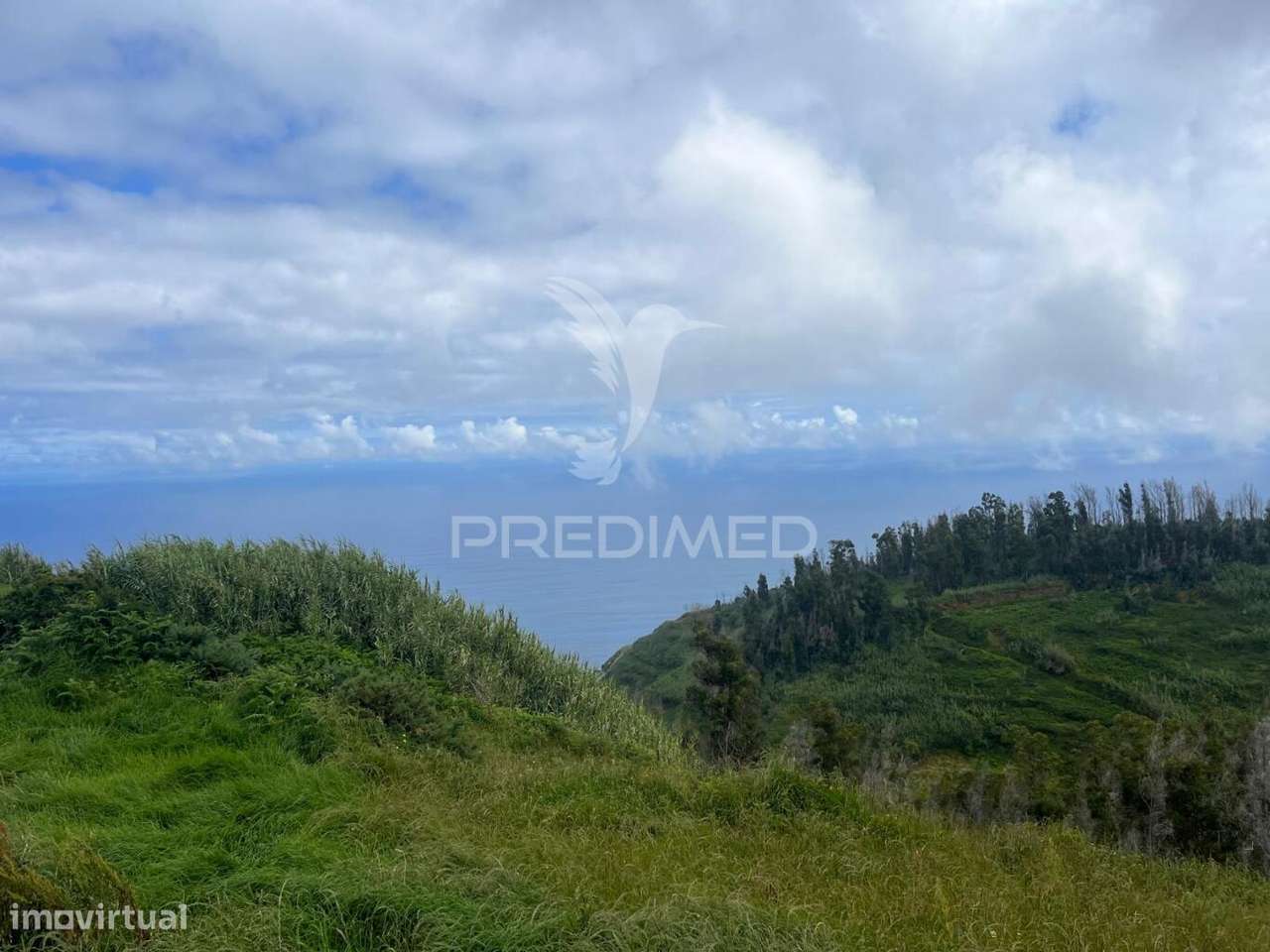TERRENO COM 6.620 M2 NA PONTA DO PARGO - Grande imagem: 5/7