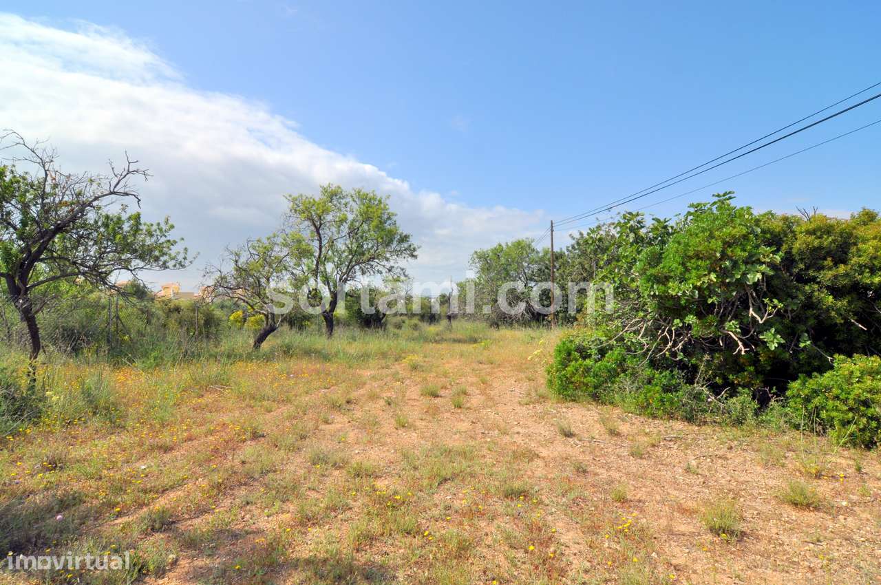 Terreno Rústico  Venda em Pechão,Olhão - Grande imagem: 4/8