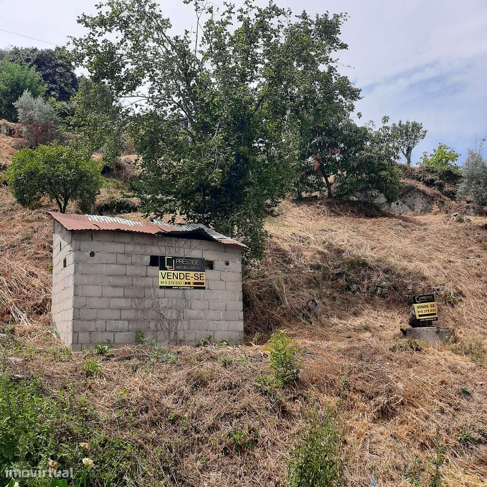 Casa em pedra para reconstruir Canelas Penafiel-43