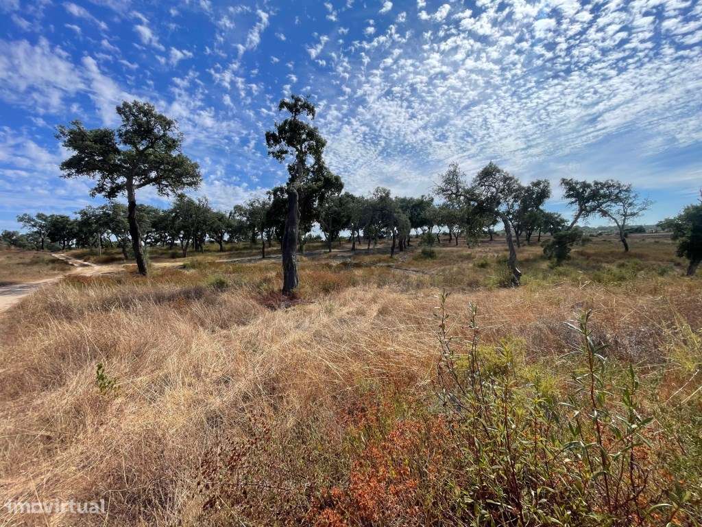 HERDADE COM 100 HECTARES E BASTANTE ARBORIZAÇÃO-3
