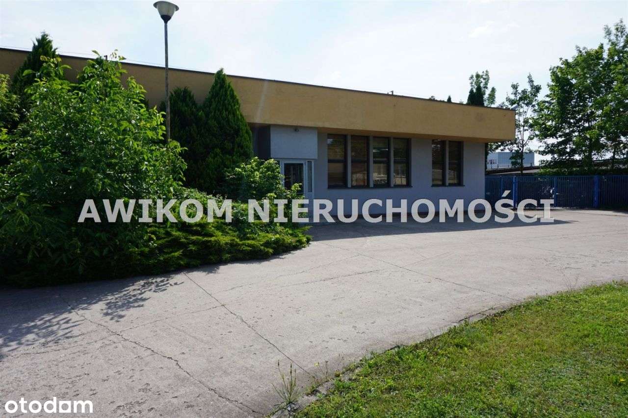 Lokal użytkowy, 530 m², Skierniewice - Pełny obrazek: 1/6