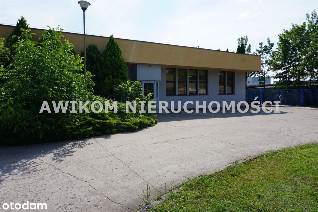 Lokal użytkowy, 530 m², Skierniewice