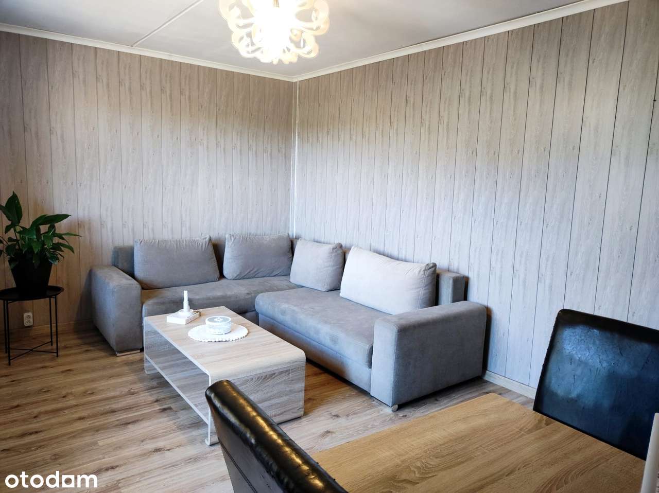 PIĘKNE MIESZKANIE NA START: 2 pok/ 2 piętro/ niski blok/ balkon/ 54 m² - More
