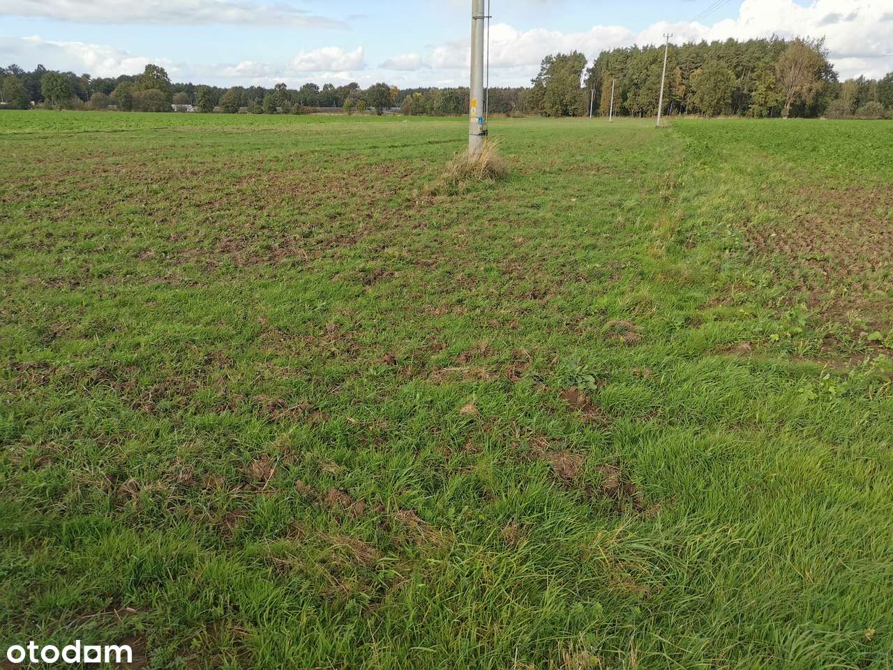 Działka rolna 2070 m2 w Krasiejowie - Pełny obrazek: 4/5