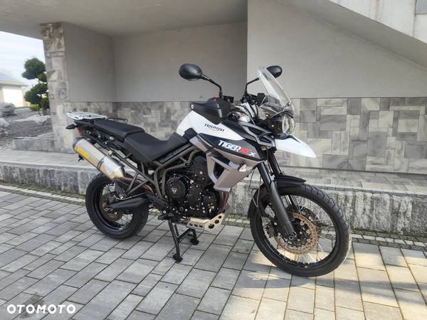 Triumph Tiger - 33