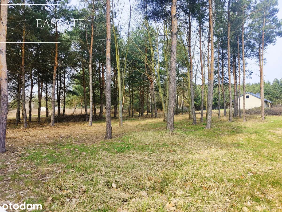 Działka Budowlana 31 x 42m/Zalesie Żabia Wola - S8 - Pełny obrazek: 5/9