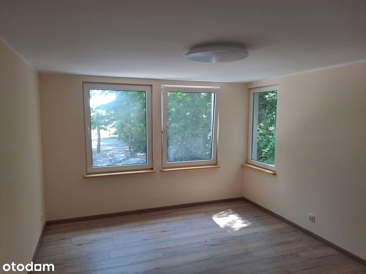 Pomieszczenie biurowe Borówiec - Pełny obrazek: 5/6