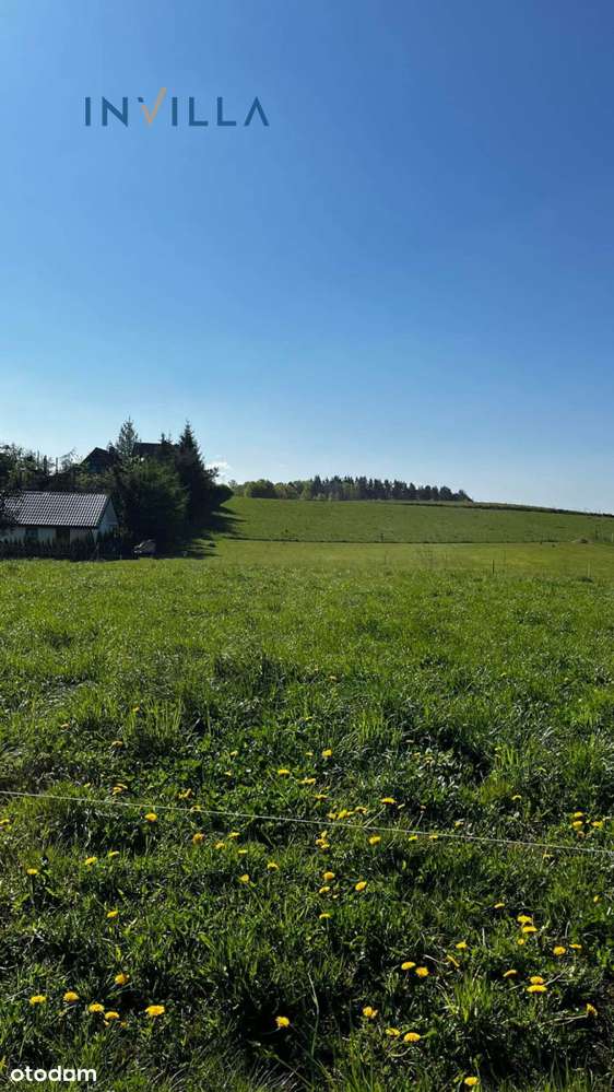 Działka Nad Jeziorem Bogaczewo K. Morąga 1 514 M2 - Pełny obrazek: 4/5