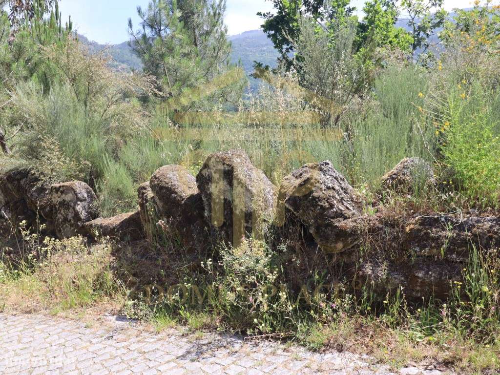 Terreno com 17.800 m², Casa para Reconstruir e mina de Água - Soalh...-27