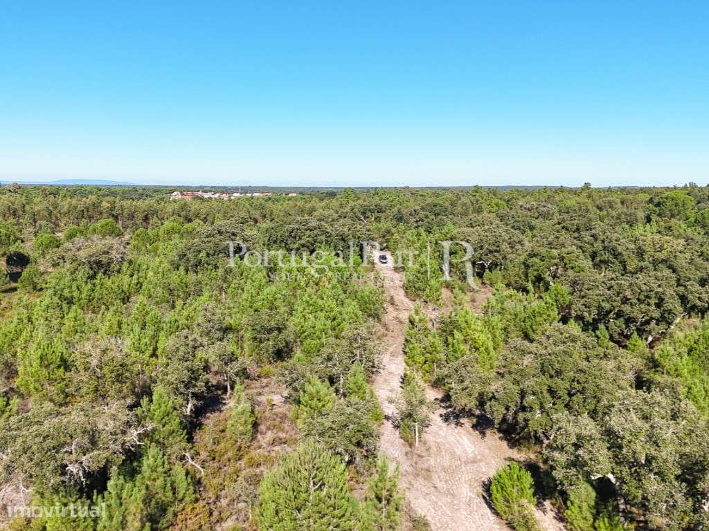 Quinta de 20ha com projeto para Turismo Rural a 1h de Lisboa-35