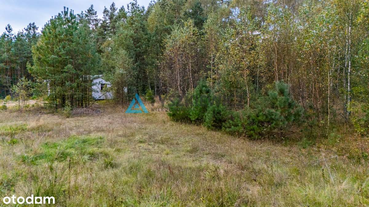 Wyjątkowa działka budowlana niedaleko Stężycy! - Pełny obrazek: 4/20