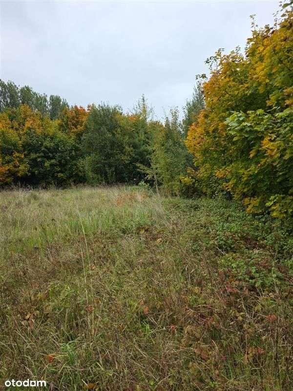 Działka budowlana - Sztum - Pełny obrazek: 4/8