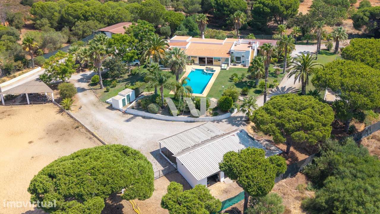 Quinta de 1ha com Cavalariças e Picadeiro, Quarteira - Grande imagem: 5/16