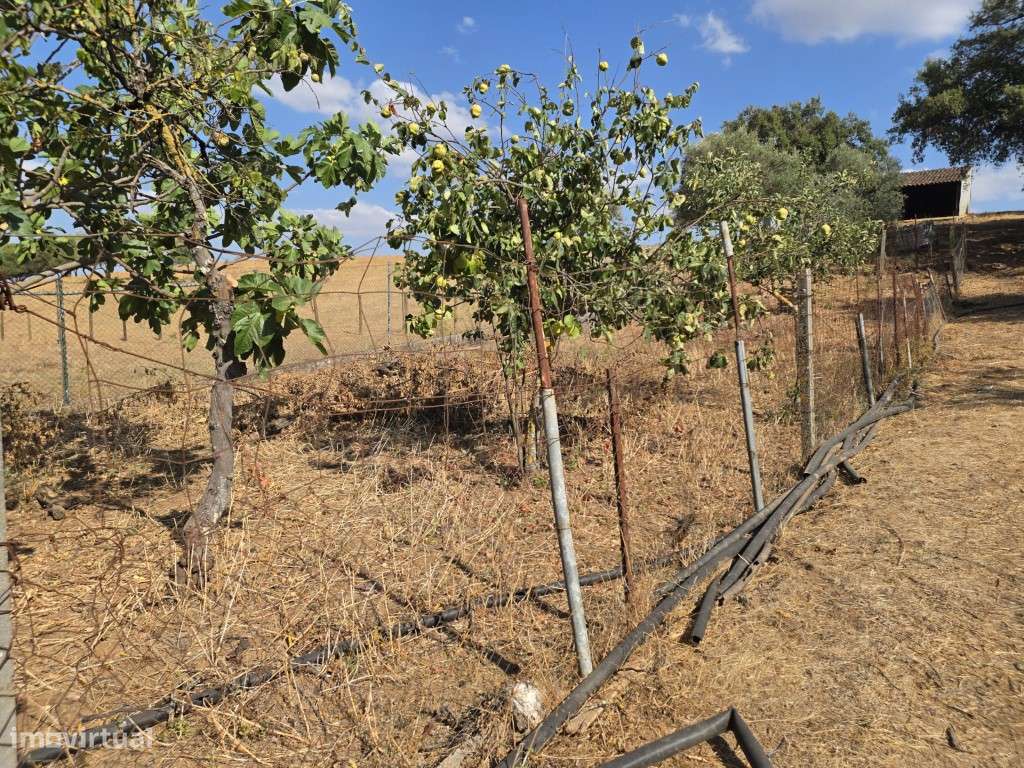 Moradia T3 em Vila Viçosa, com garagem, inserida em lote de 3500 m2-21