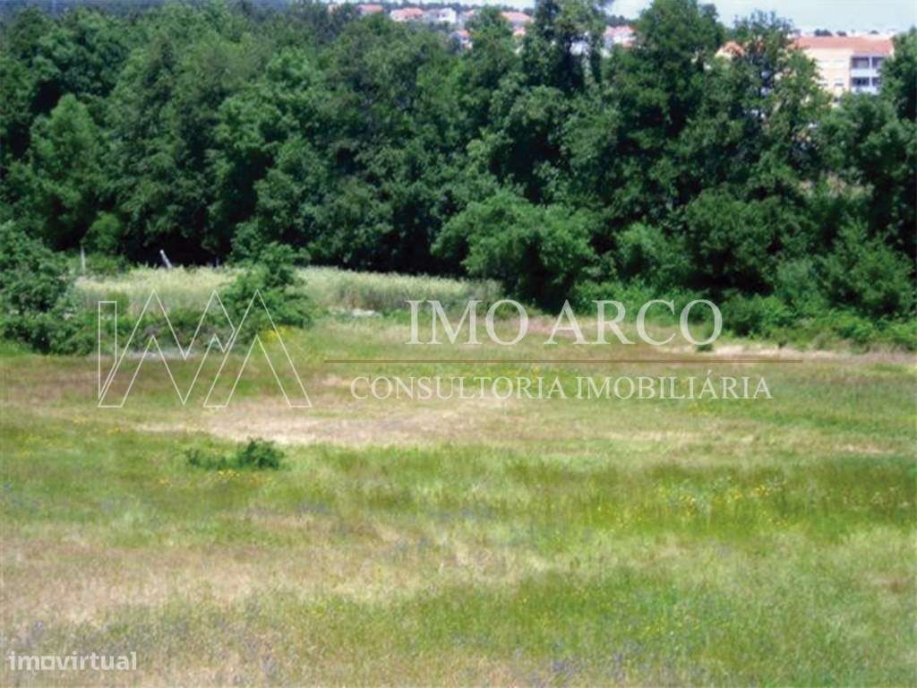 Terreno | no Lugar de Carvalhal / Chave - Grande imagem: 5/8