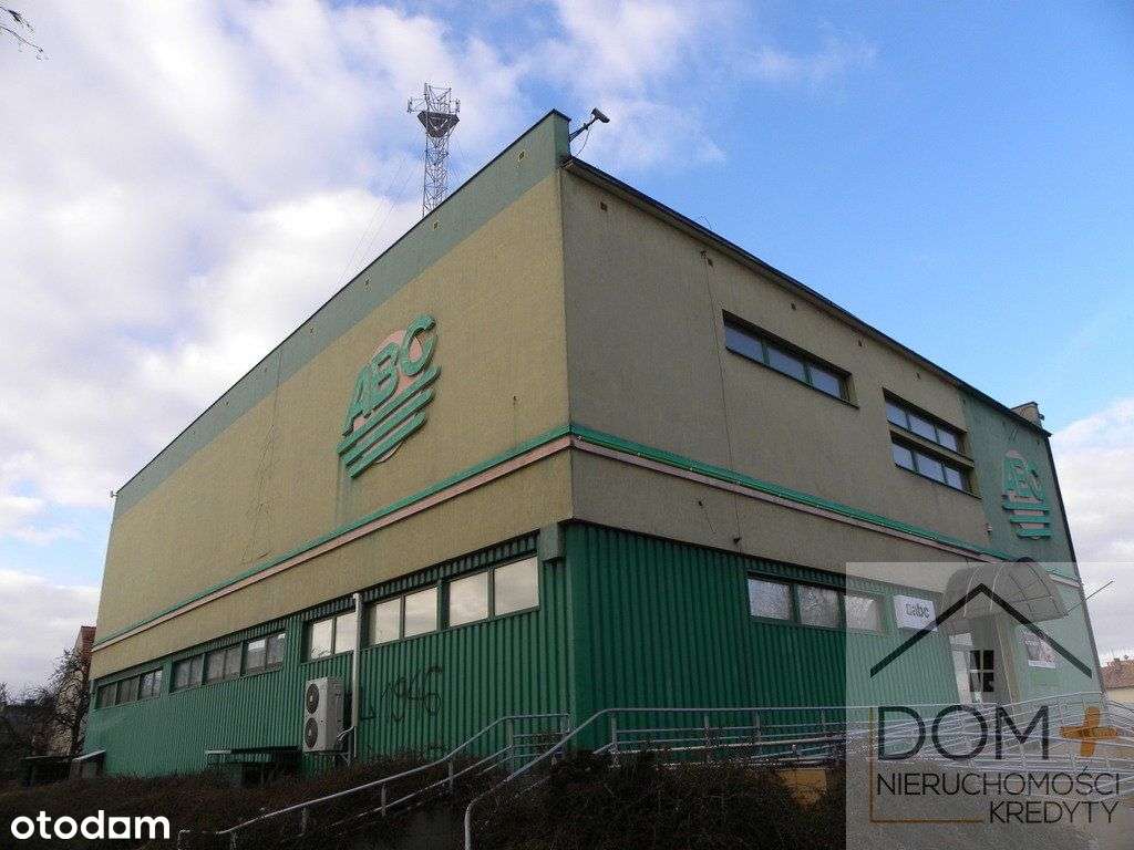 Lokal użytkowy, 1 595,50 m², Prochowice-8