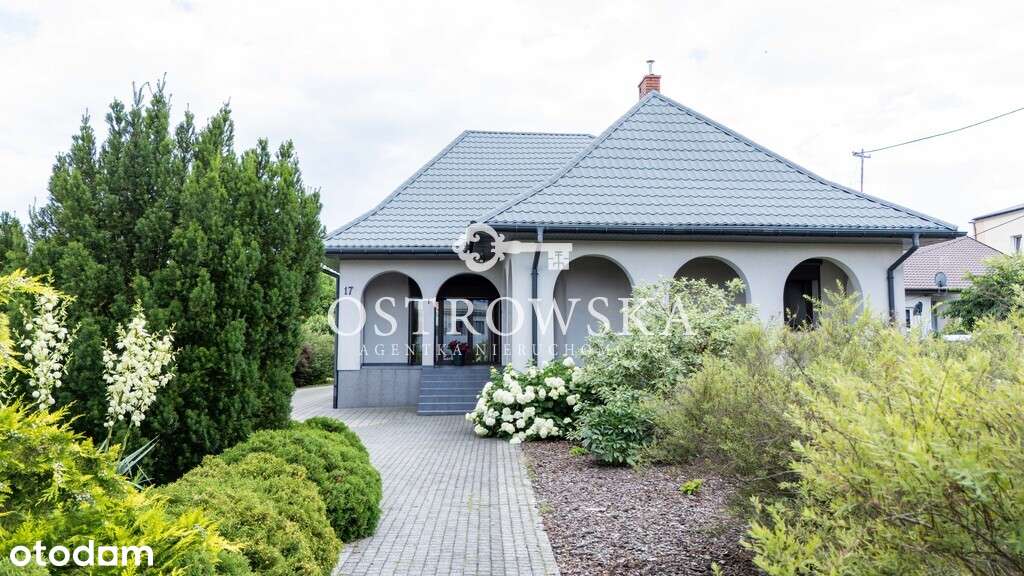 Parterowy dom z PV i dużą działką DO ZAMIESZKANIA! - Pełny obrazek: 3/17