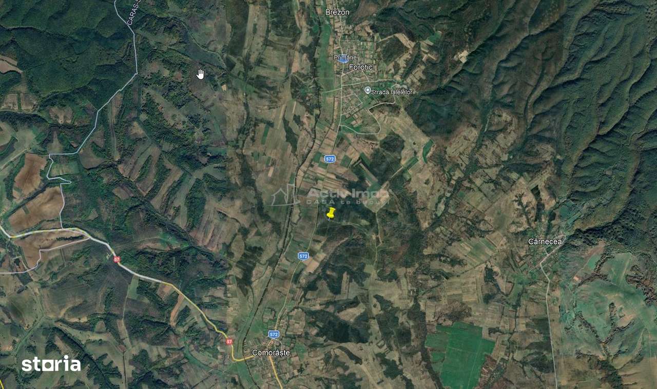 Forotic, Teren Drept Pentru Investitie, 13.2 Hectare (132.000 Mp.), La - Imagine principală: 2/8