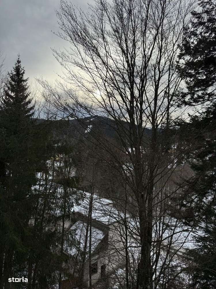 Casa Predeal Central-19