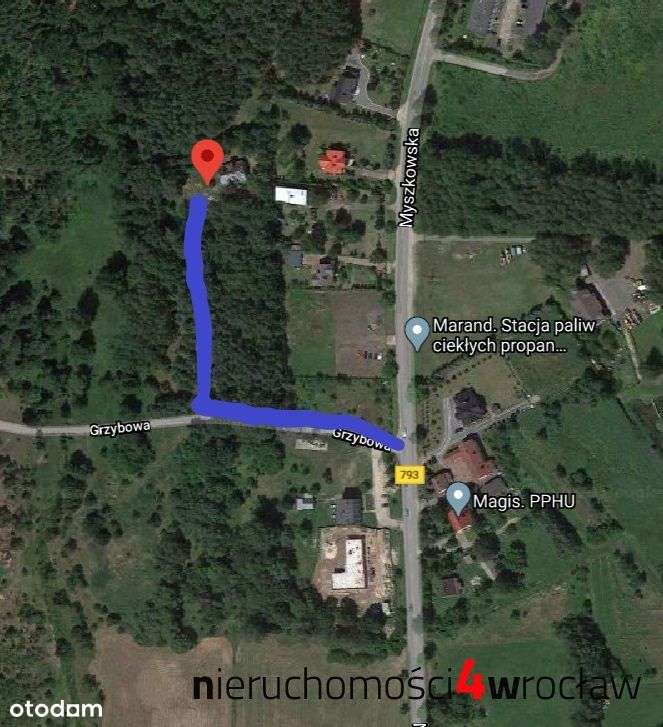 U/Mw*Segmenty*Market*Dom Seniora*Przedszkole-3