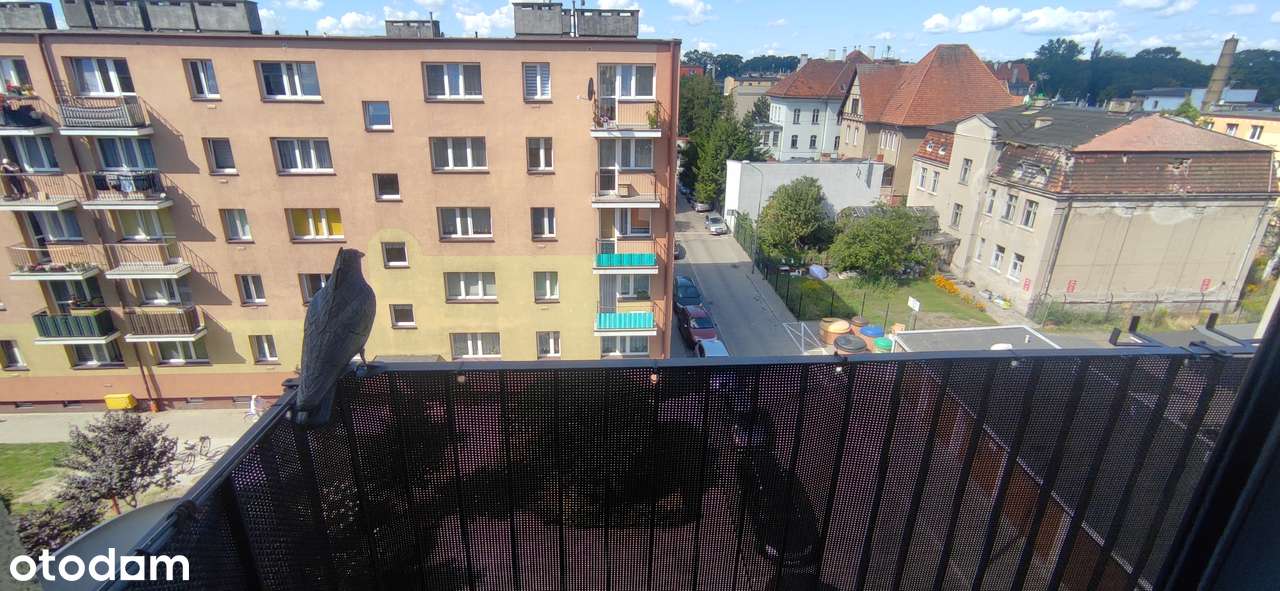 Mieszkanie 2 pokojowe w centrum miasta Leszna , dostępne od zaraz!-4