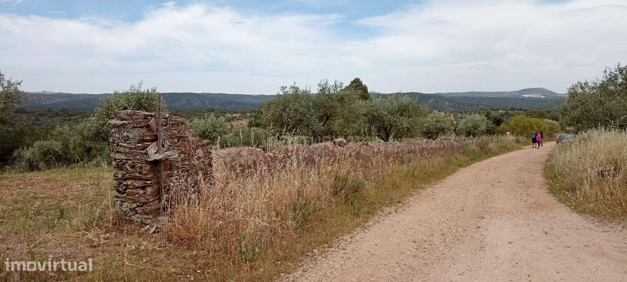 Terreno 8500m2, Lentiscais, Castelo Branco - Grande imagem: 2/21