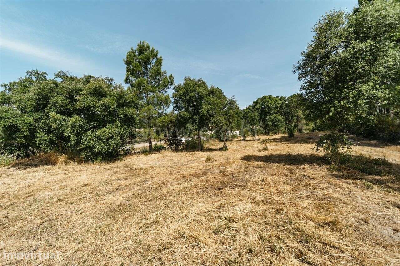 Terreno Rústico / Fundão, Vale Prazeres - Grande imagem: 4/20