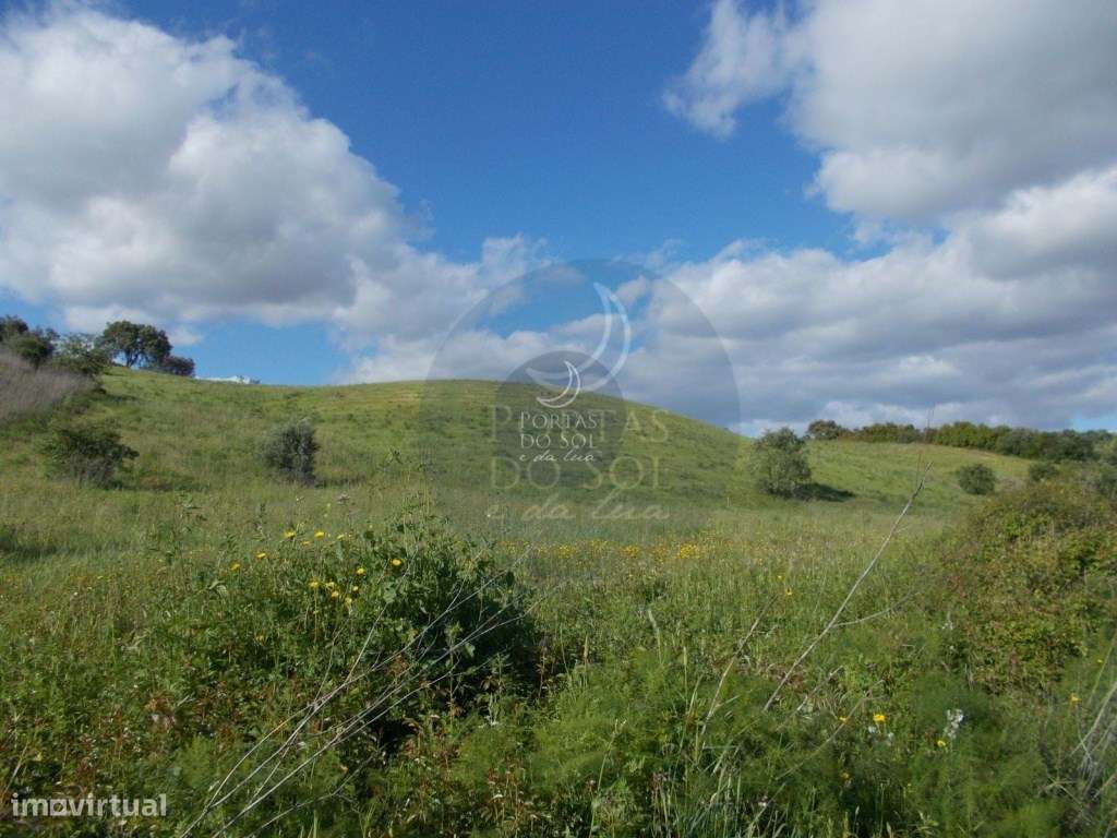Terreno agrícola 18.720m2 - Grande imagem: 2/2