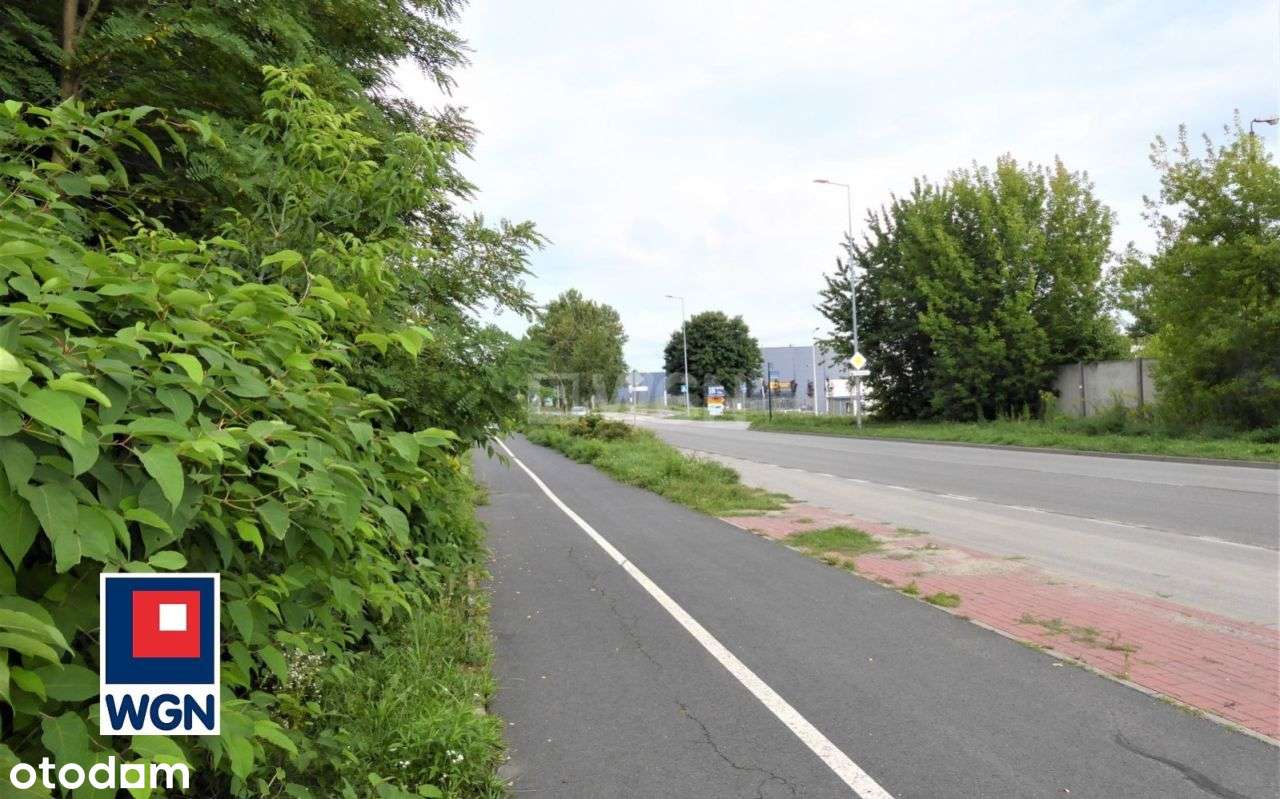 Specjalna Strefa Ekonomiczna! - Pełny obrazek: 4/9