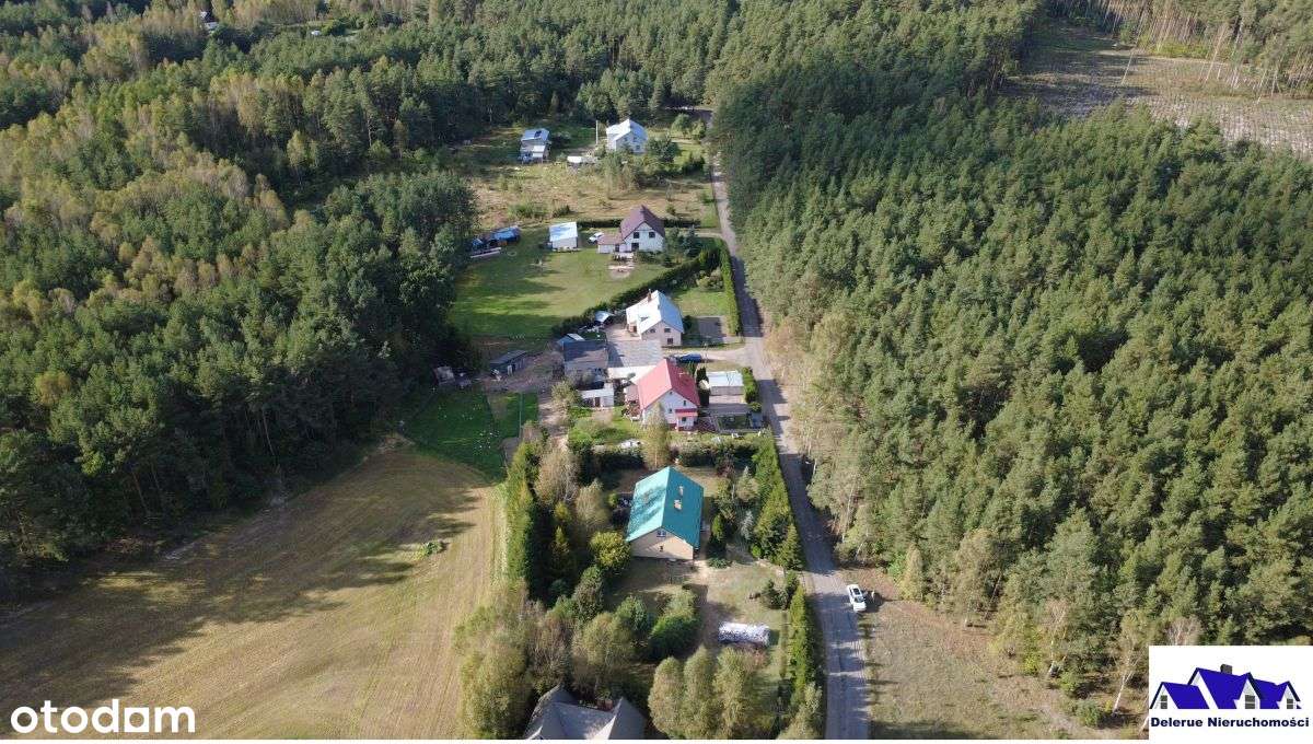 Dom w sąsiedztwie lasu Bory Tucholskie - Pełny obrazek: 2/20