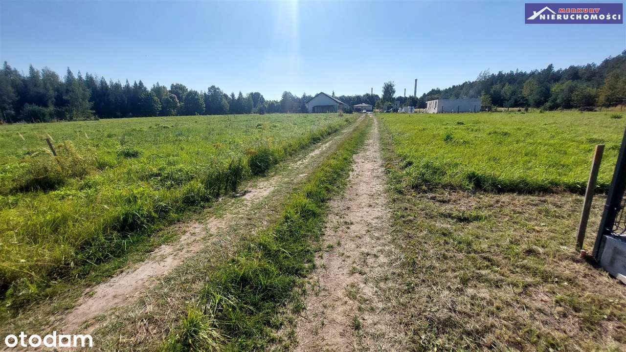 Na nowym osiedlu w pobliżu lasu-4