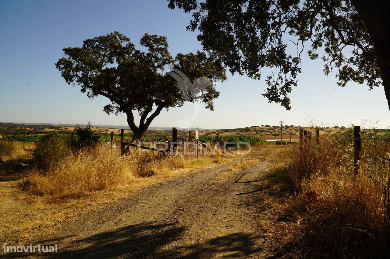 HERDADE NO ALENTEJO - Grande imagem: 4/39